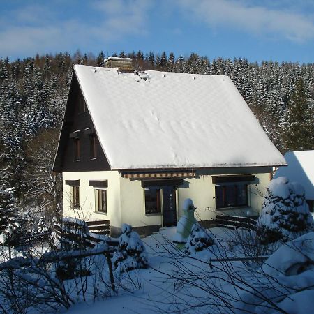 Erzgebirgsdomizil Am Schwartenberg نيوهاوسين المظهر الخارجي الصورة