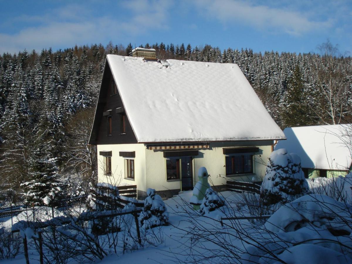 Erzgebirgsdomizil Am Schwartenberg نيوهاوسين المظهر الخارجي الصورة